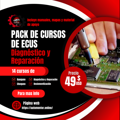 Curso reparación de Ecus