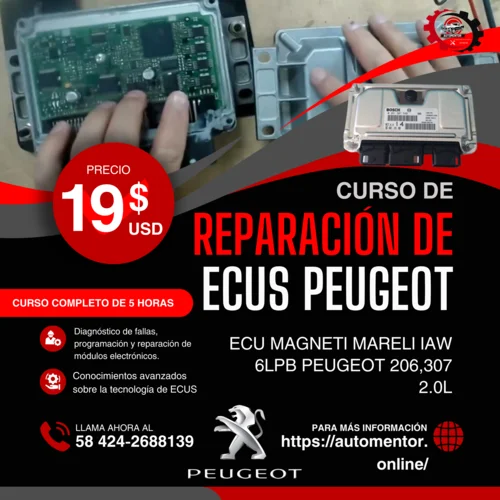 curso reparación ecus