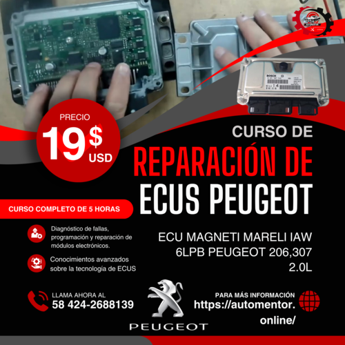 CURSO DE REPARACION DE ECUS PEUGEOT