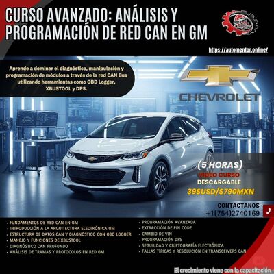 curso ford 2